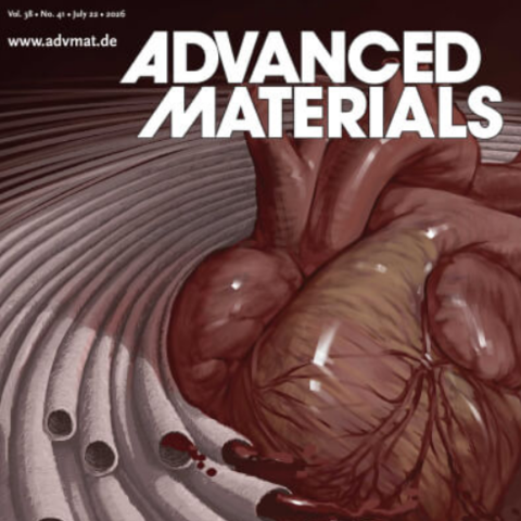 Cover of Advanced Materials magazine showing an illustration of custom blood vessels.