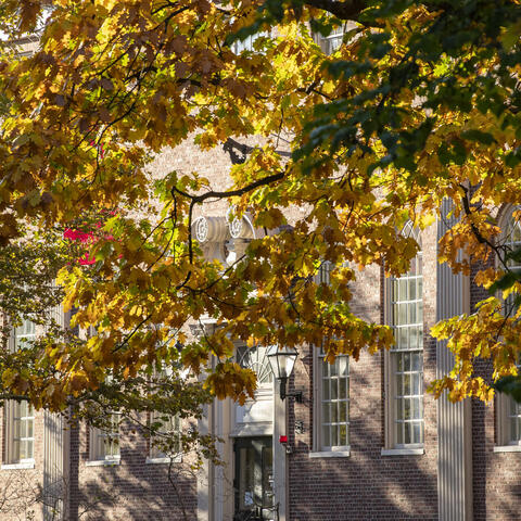 brick facade of Lehman Hall behind a tree beginning to show yellow foliage