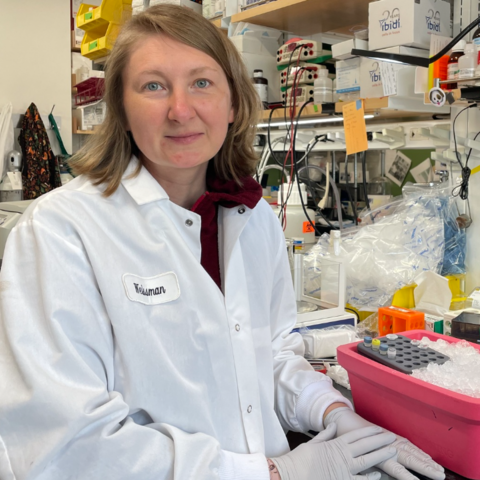Ania Puszynska in the Weissman Lab at Whitehead Institute