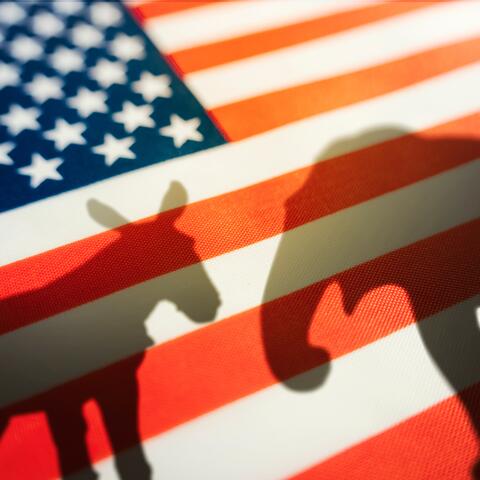 donkey and elephant shadow over the United States of America flag