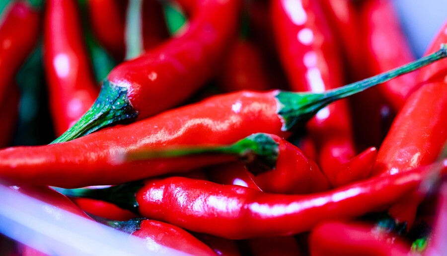 Red chili peppers