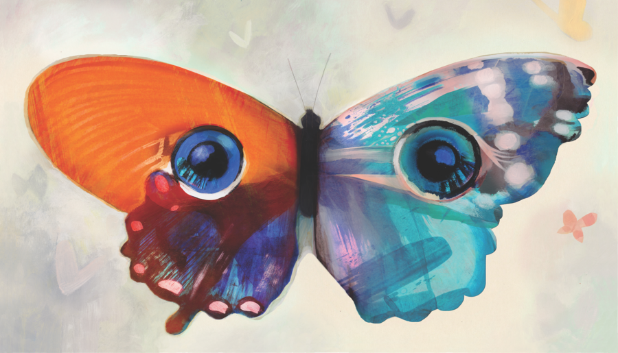 Colorful butterfly with wings that look like a child's eyes