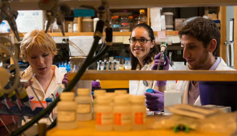 Students of Dyann Wirth in the Integrated Life Lab