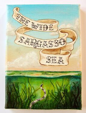 Cover of the book Wide Sargasso Sea
