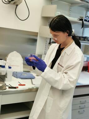Wang Examining Electrophysiology Equipment