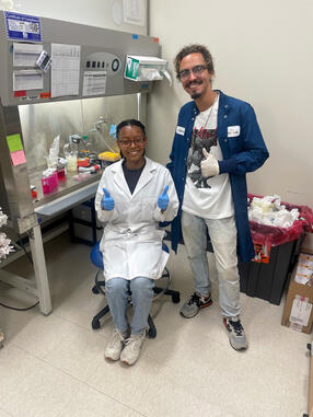 In BSL-2 lab showing student how to set up a viral infection using Langat virus.