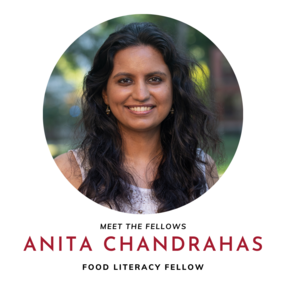 Headshot of Anita Chandrahas