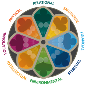 Wellness Wheel with color of the rainbow sections
