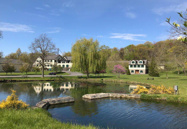 Image of a scenic area with green trees, a pond, flowers, blue sky, and buildings in the distance