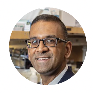 Vijay Sankaran