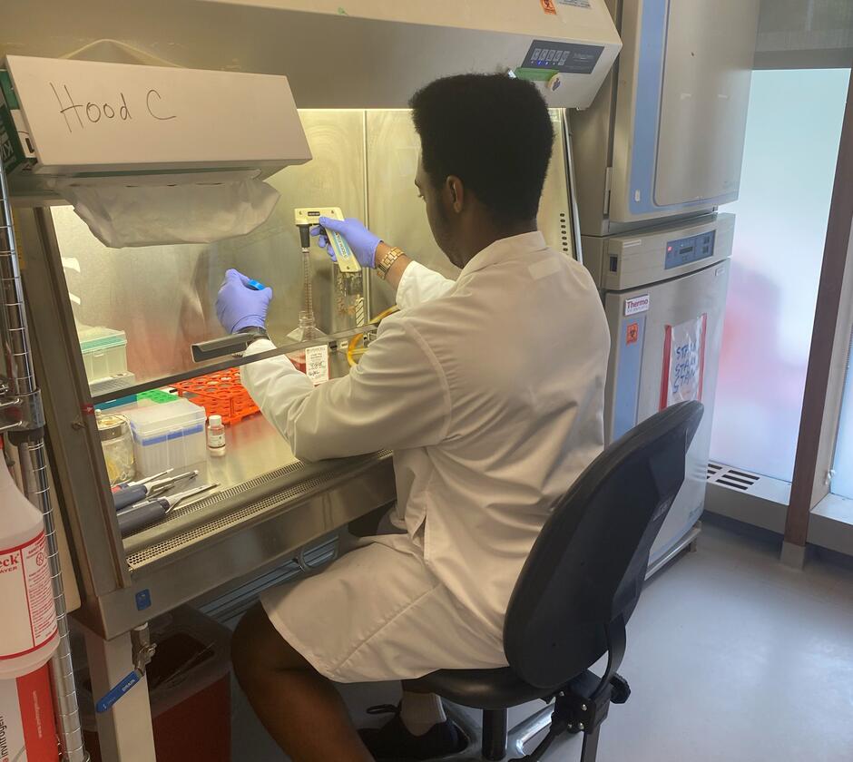 Stanley prepares stem cell media in the tissue culture hood
