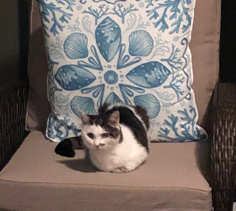 Kristi strategically positions herself at the center of the armchair