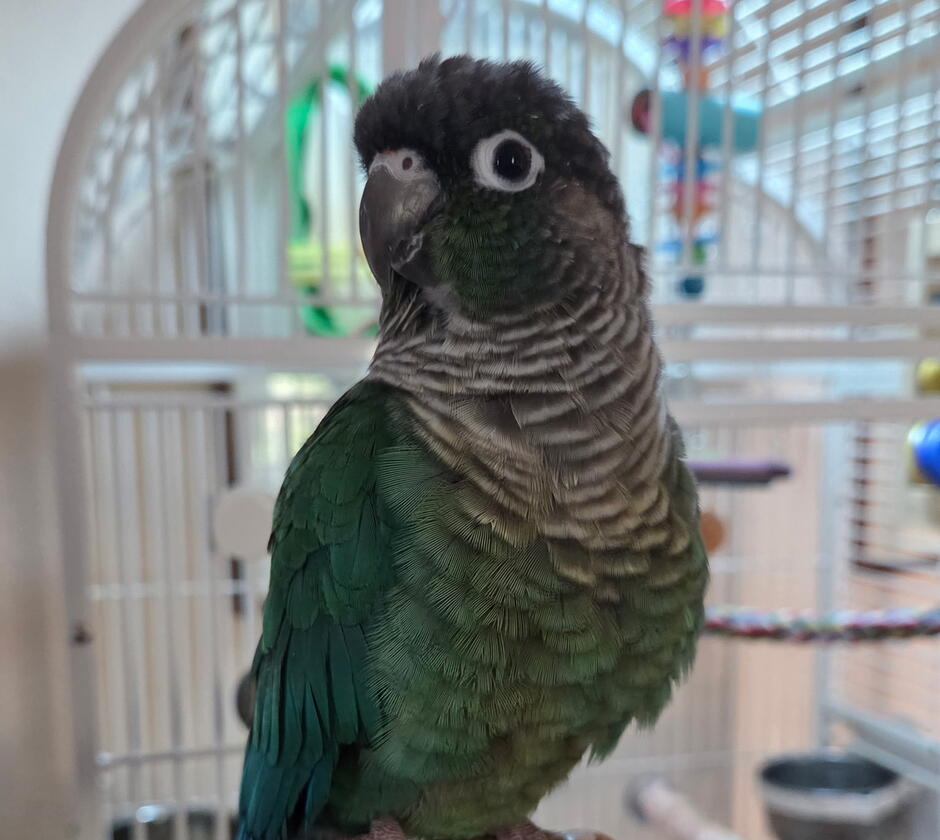 Kevin looks quizzically at the camera.